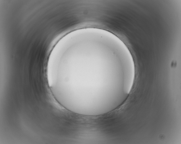 X0000112050912200909151000