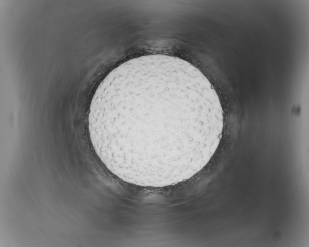 X0000112050913200909150959