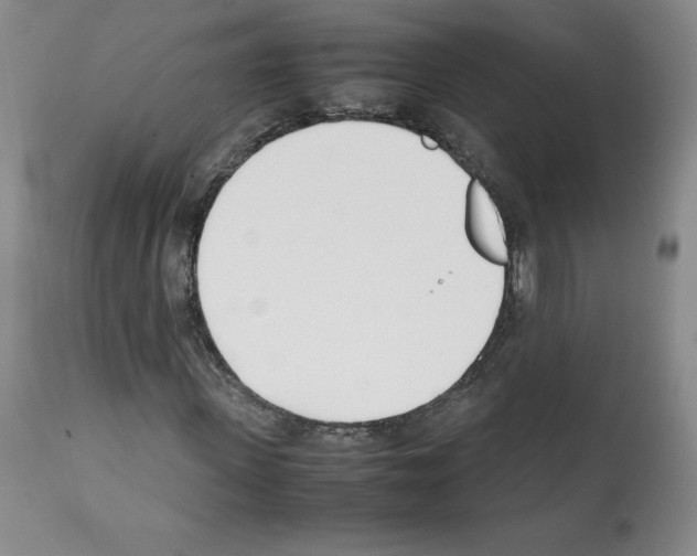 X0000112050915200909150959