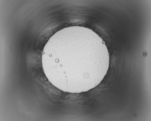 X0000112050917200909150959