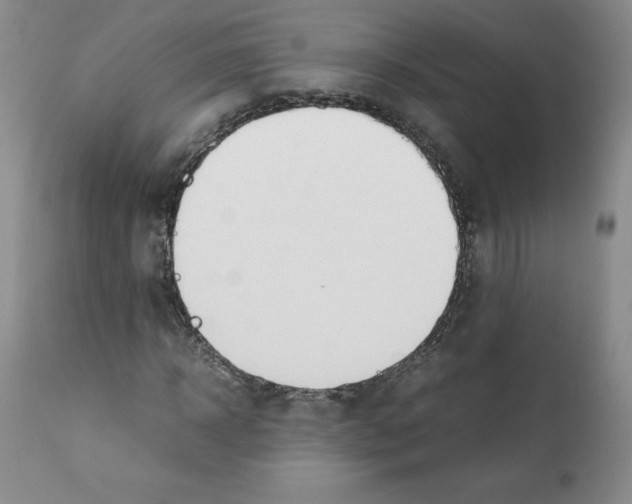 X0000112050918200909150959