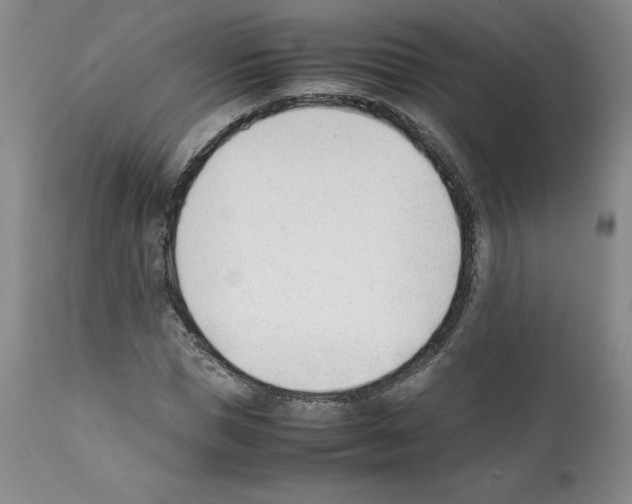 X0000112050921200909150959