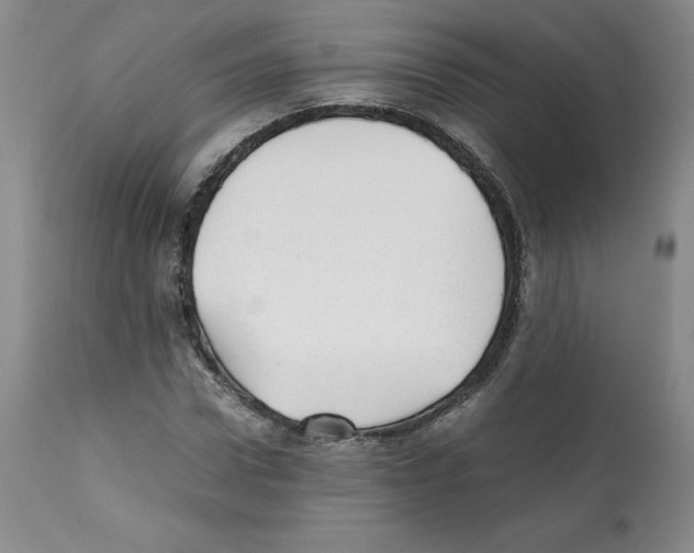 X0000112050922200909150959