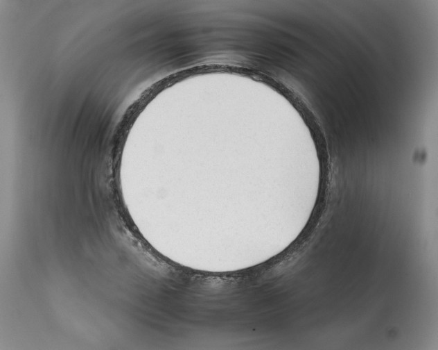 X0000112050923200909150959