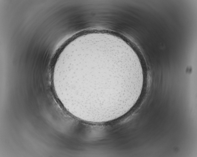 X0000112050925200909150959