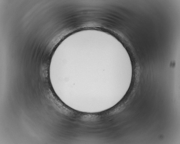 X0000112050929200909150959