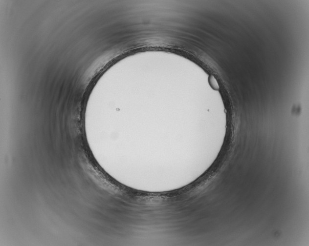 X0000112050930200909150959