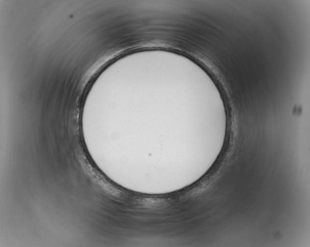 X0000112050933200909150959