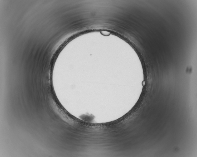 X0000112050934200909150959
