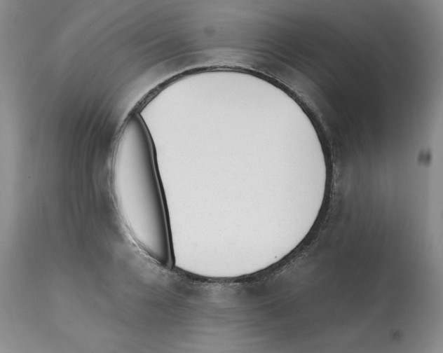 X0000112050936200909150959