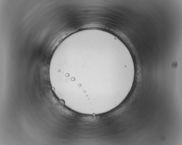 X0000112050937200909150959
