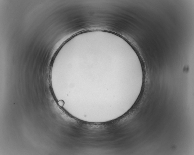 X0000112050941200909150959