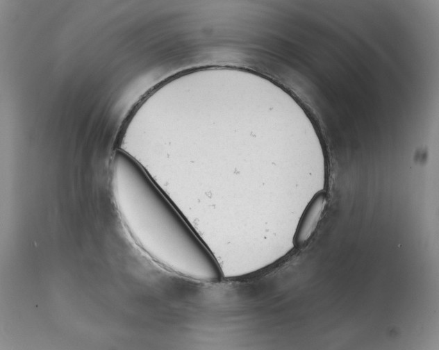 X0000112050944200909150959