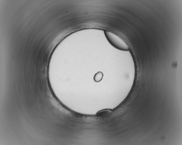 X0000112050946200909150959