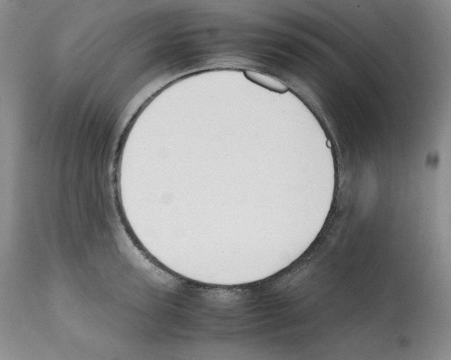 X0000112050947200909150959