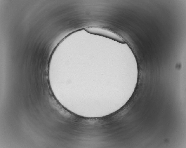 X0000112050948200909150959