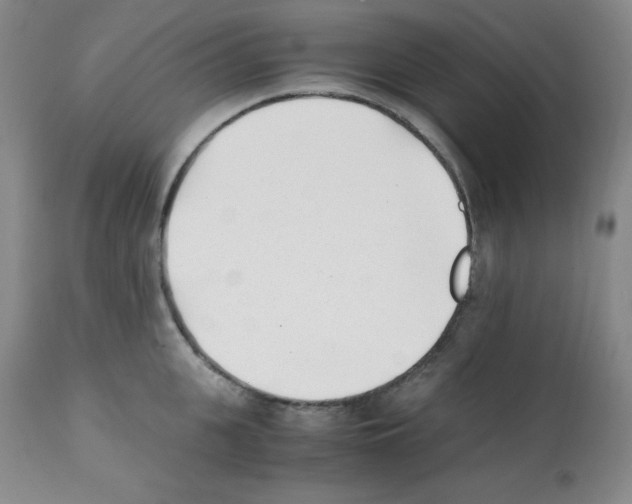 X0000112050951200909150959