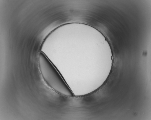 X0000112050952200909150959