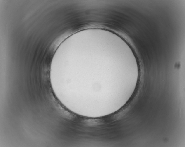 X0000112050953200909150959
