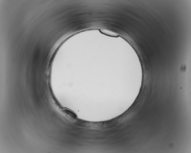 X0000112050955200909150959