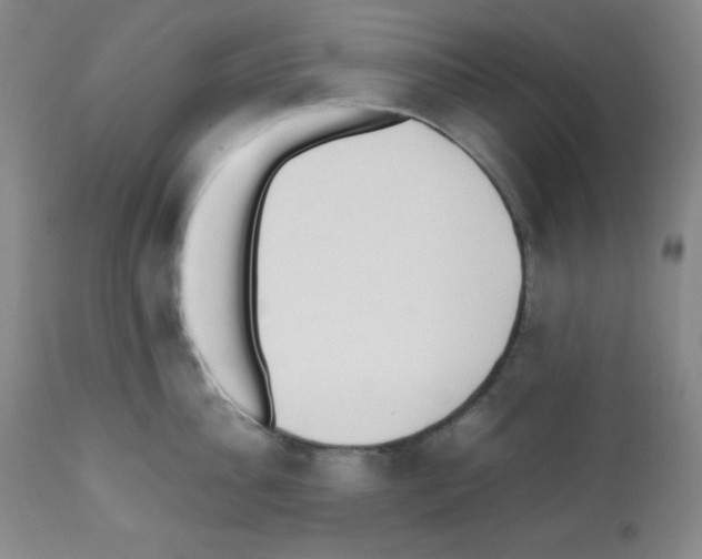 X0000112050956200909150959
