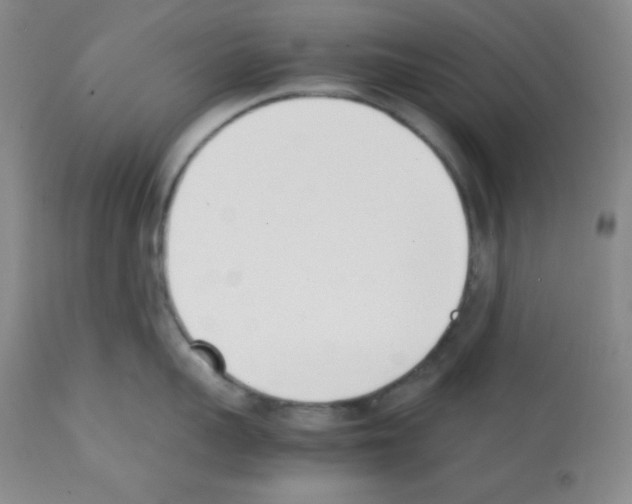 X0000112050959200909150959