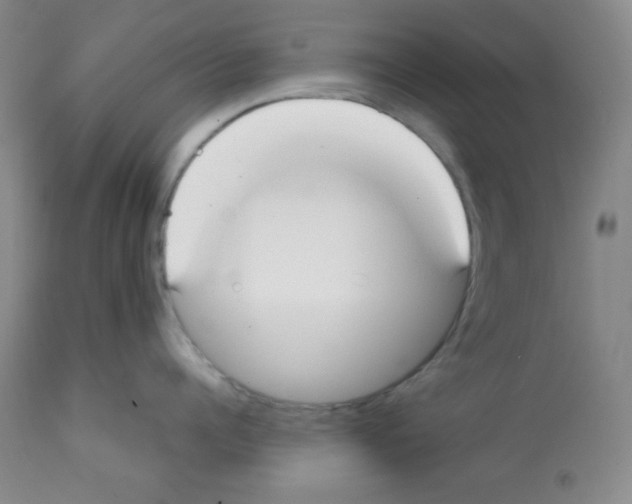 X0000112050960200909150959