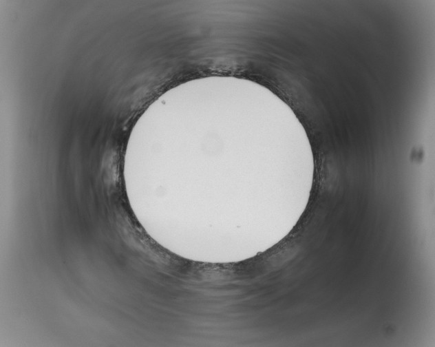 X0000112050962200909150959