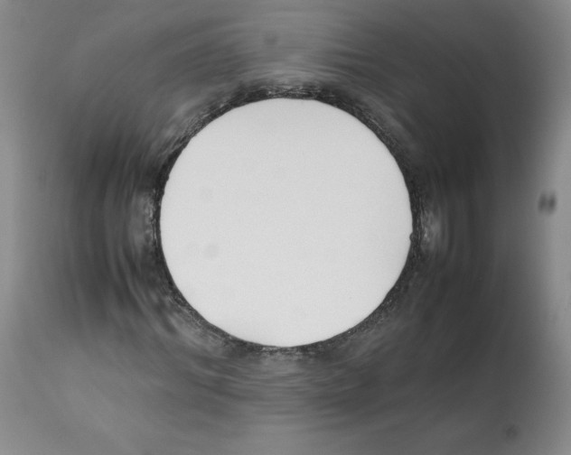 X0000112050964200909150959