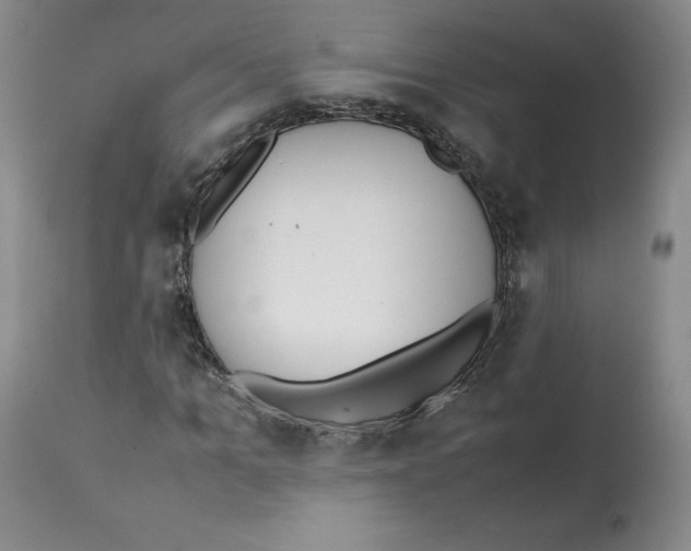 X0000112050965200909150959