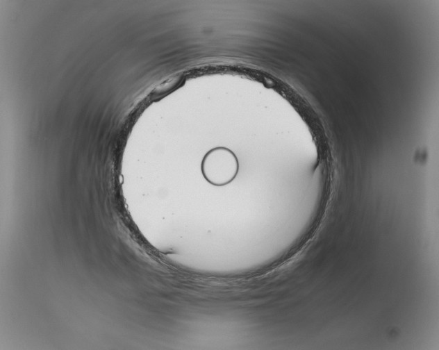 X0000112050969200909150959