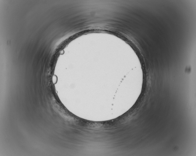 X0000112050971200909150959