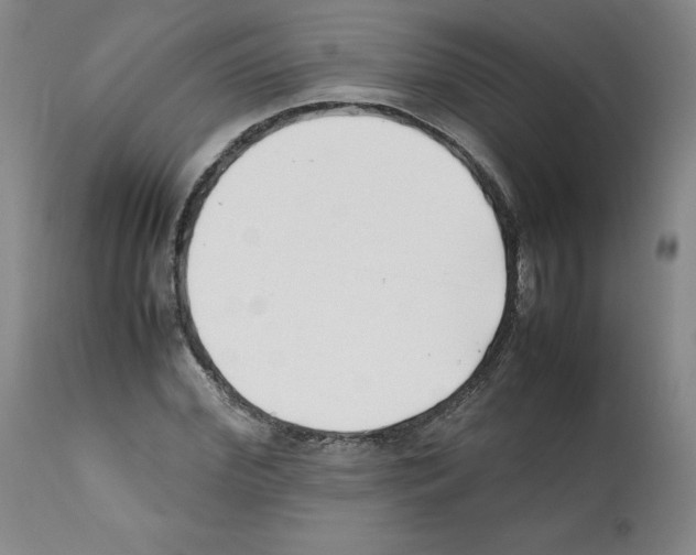 X0000112050972200909150959
