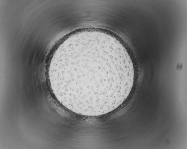 X0000112050974200909150959