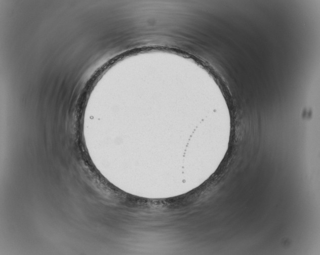 X0000112050975200909150959