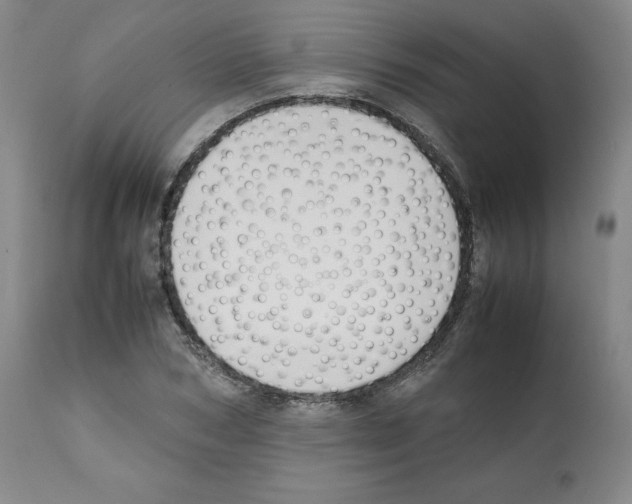 X0000112050978200909150959