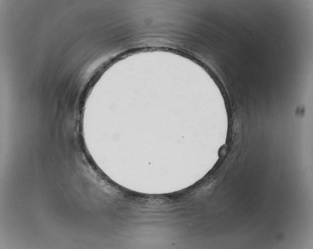 X0000112050979200909150959