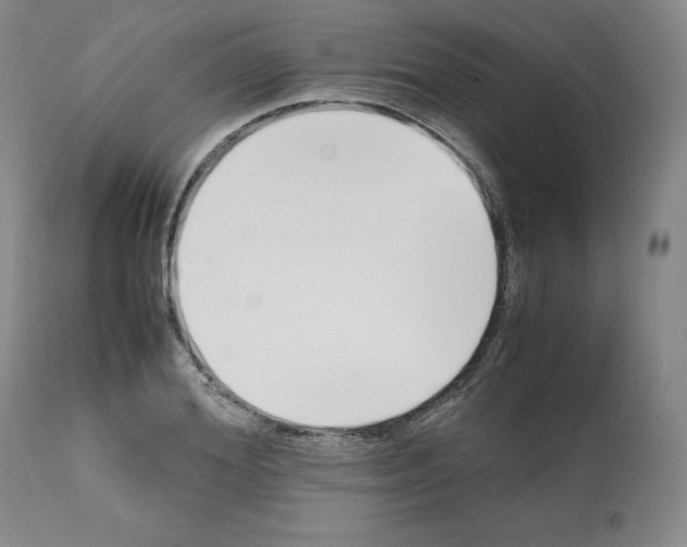 X0000112050980200909150959