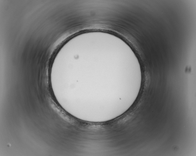X0000112050982200909150959