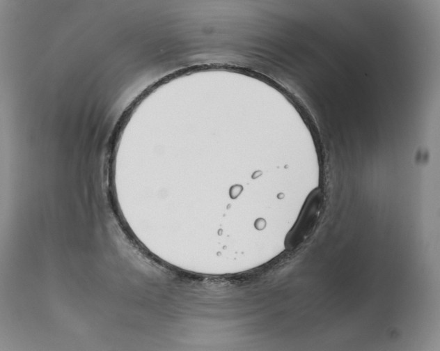 X0000112050983200909150959