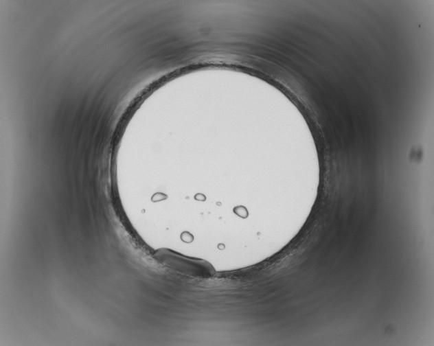 X0000112050984200909150959