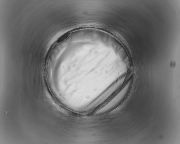 X0000112050989200909150958