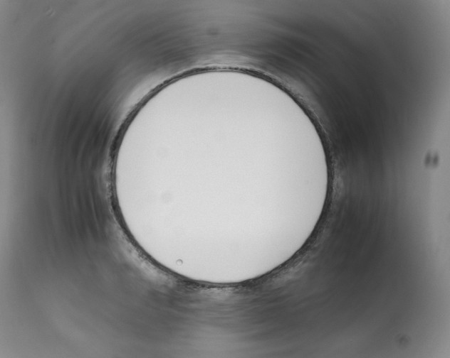 X0000112050990200909150958