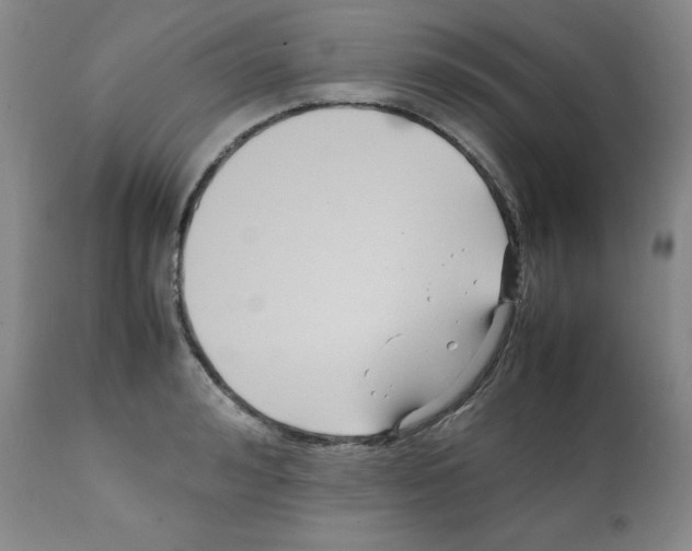X0000112050992200909150958