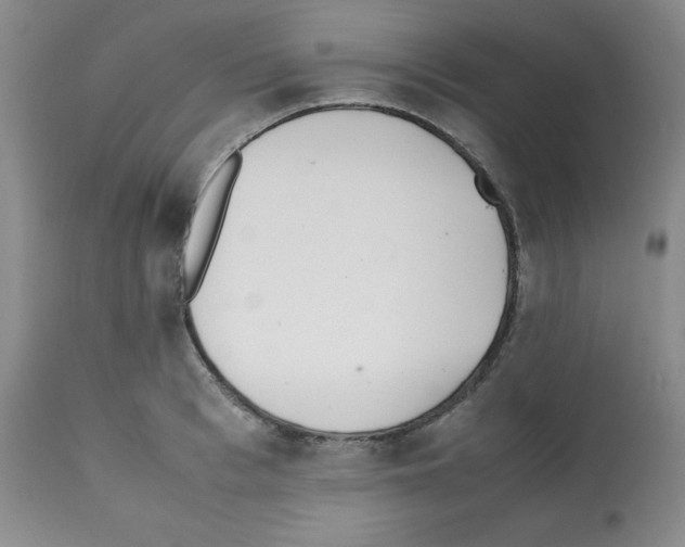 X0000112050993200909150958