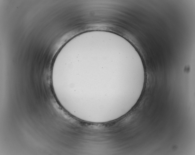 X0000112050994200909150958