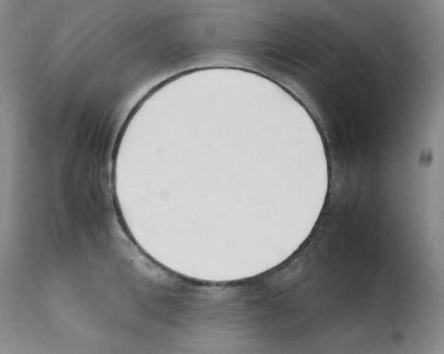 X0000112050996200909150958
