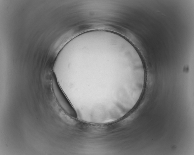 X0000112051001200909150958