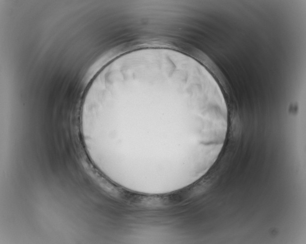 X0000112051002200909150958