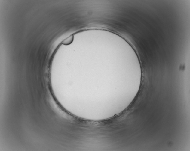 X0000112051003200909150958